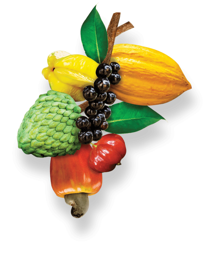 Frutas Naturanic