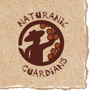 Logo Guardians