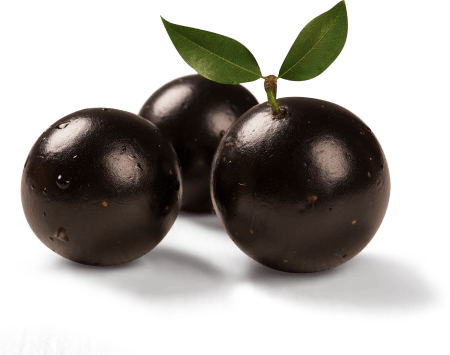 Jabuticaba