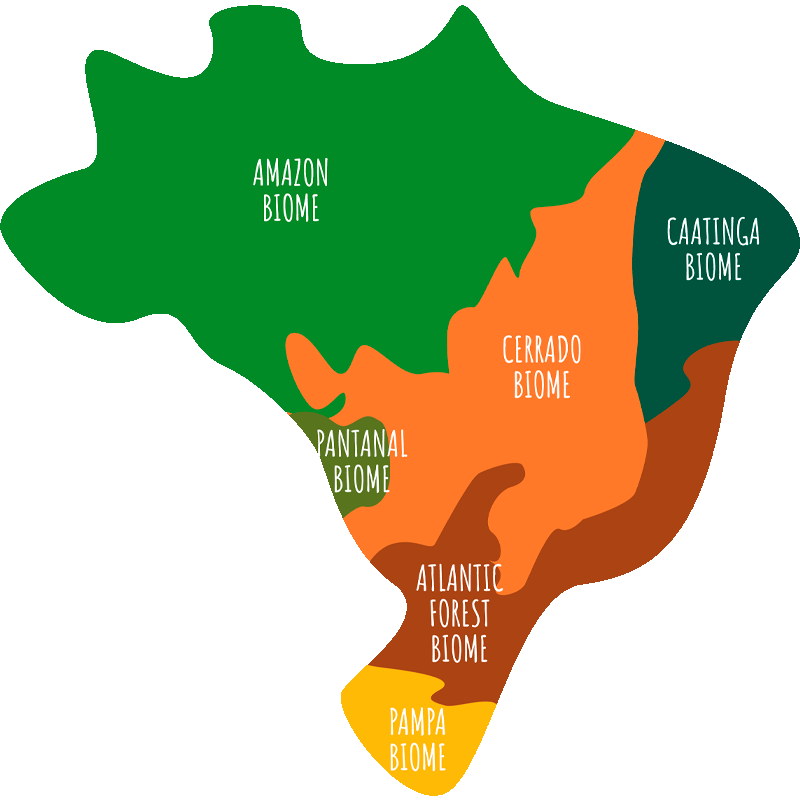 Mapa do Brasil