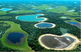 Pantanal